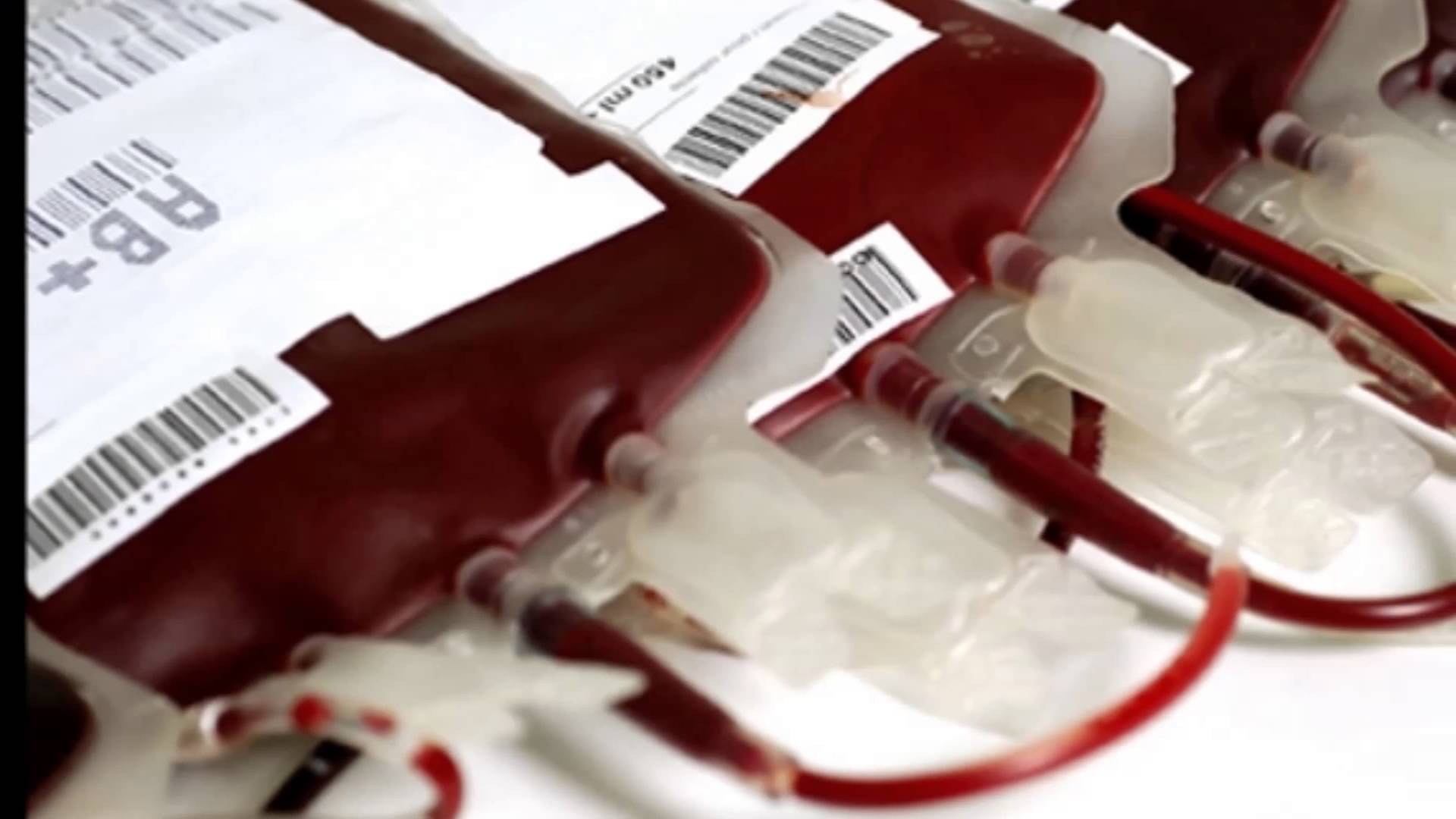 Los Centros Regionales de Transfusión de Castilla-La Mancha han obtenido cerca de 47.300 donaciones de sangre 