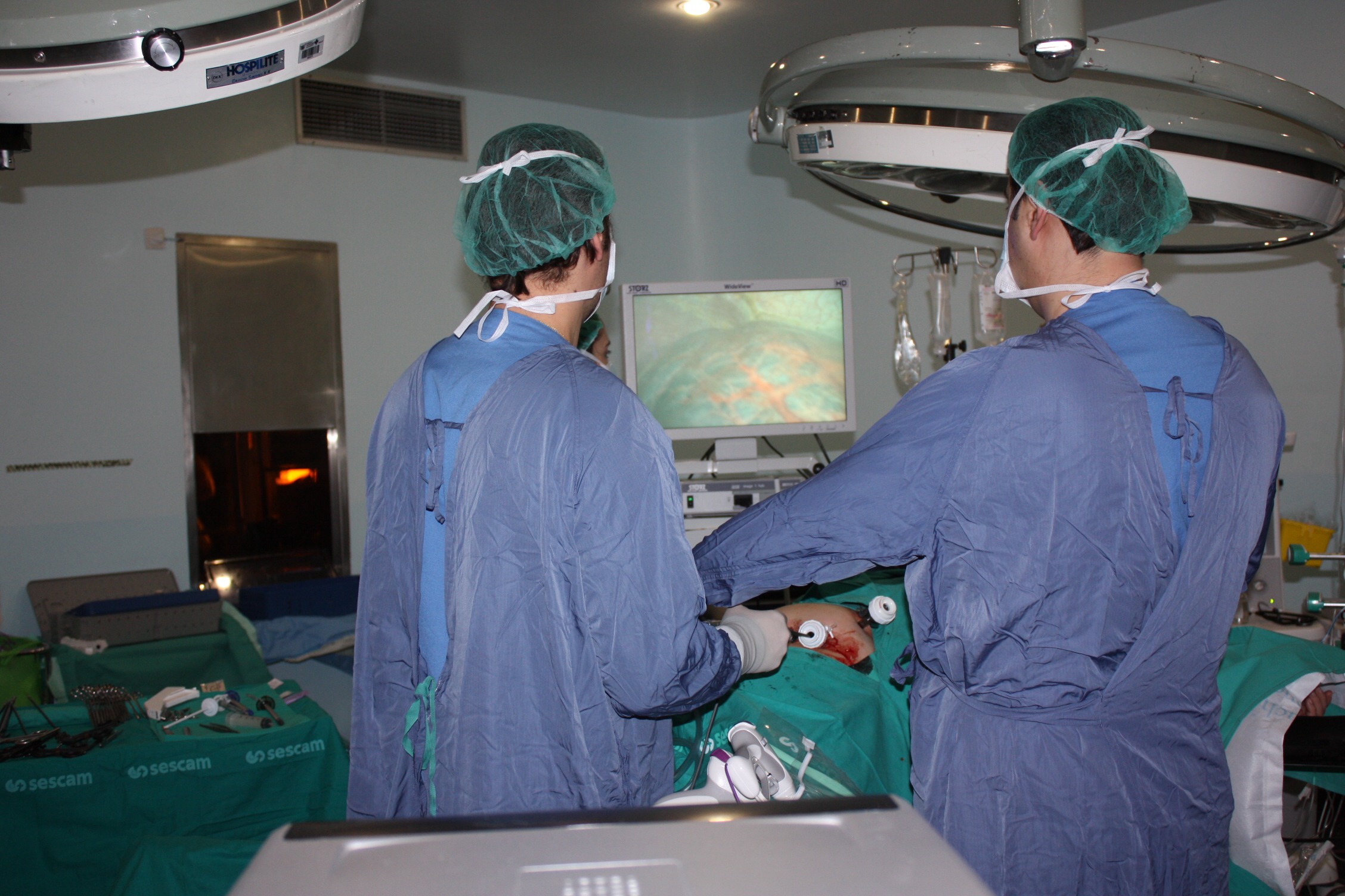 El programa de trasplante renal del Complejo Hospitalario de Toledo cumple una década 