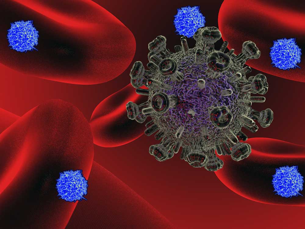 Sanidad apuesta por mejorar el conocimiento sobre la infección por VIH para establecer estrategias de diagnóstico precoz