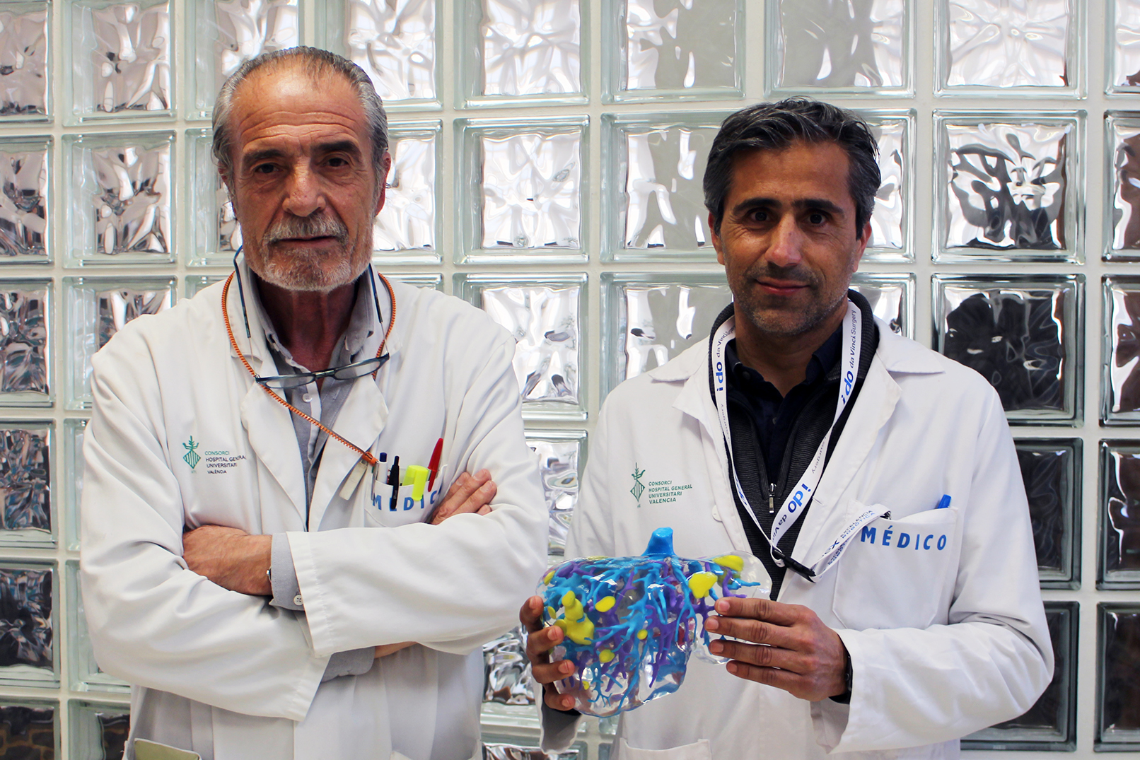La Unidad de Cirugía Hepática del General de València realiza reconstrucciones en 3D previas a las cirugías
