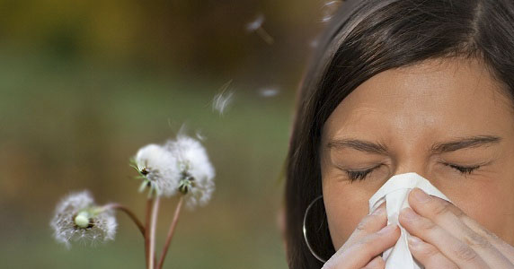 El Hospital de Ciudad Real coordina una investigación nacional sobre el efecto de la contaminación en asmáticos alérgicos al polen